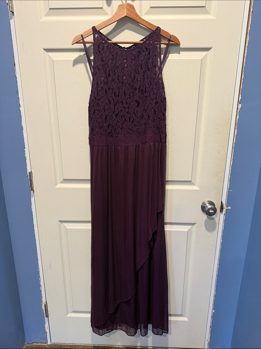 Adrianna Papell Lace Bodice Plum Maxi Dress with Sheer Skirt